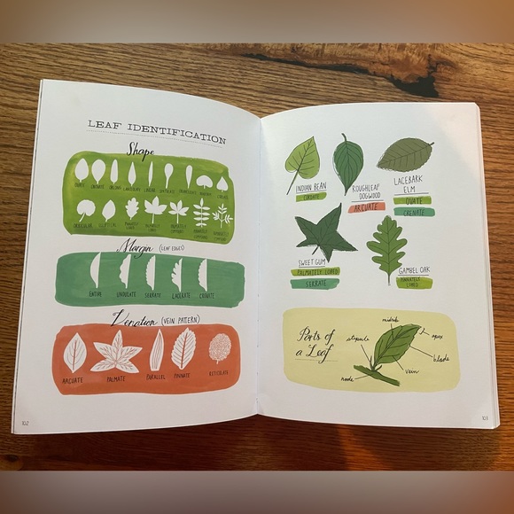 Nature Anatomy by Julia Rothman book. Excellent condition. - Picture 2 of 8